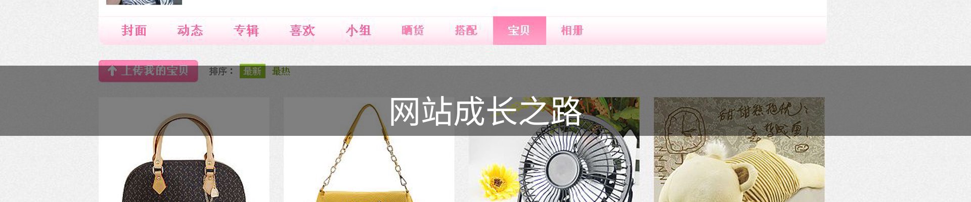 网站成长之路
